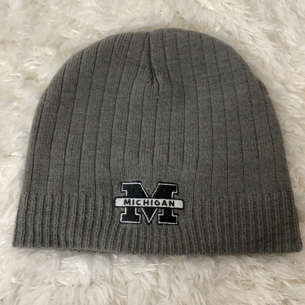 Adult Michigan State Winter Hat